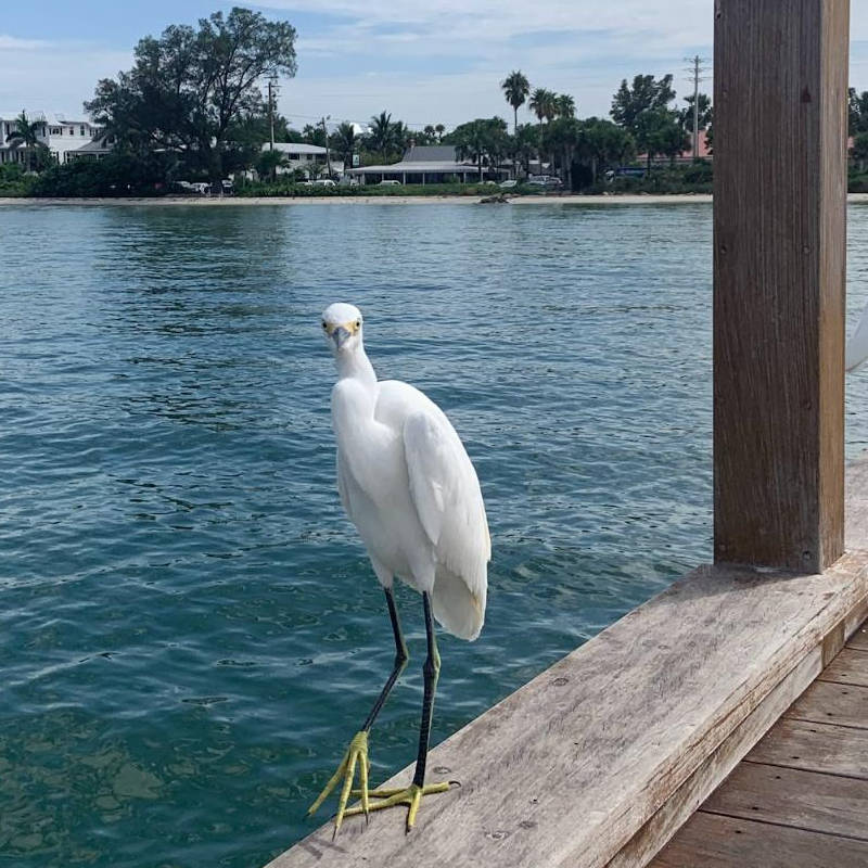 Costa oeste de Florida, destino de playas