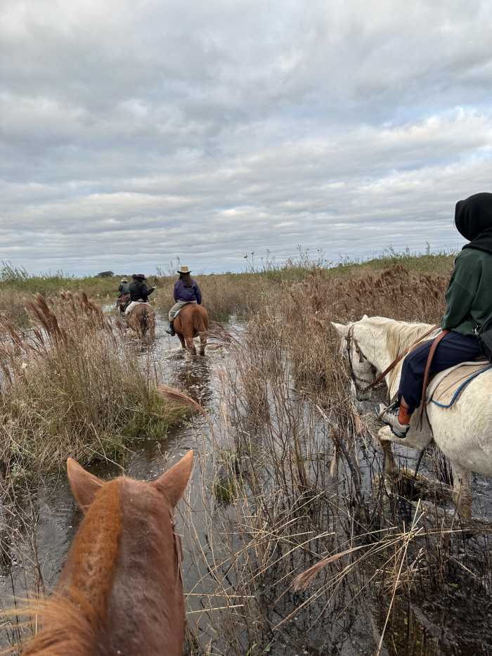 Silencio salvaje: un viaje al corazón del Iberá