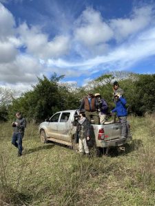 Silencio salvaje: un viaje al corazón del Iberá