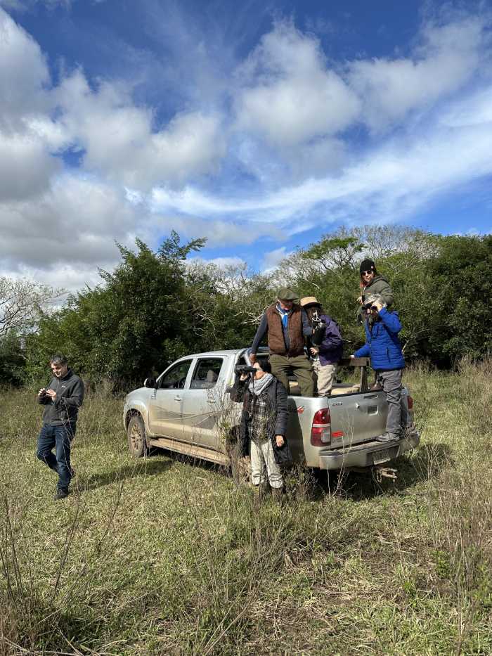 Silencio salvaje: un viaje al corazón del Iberá