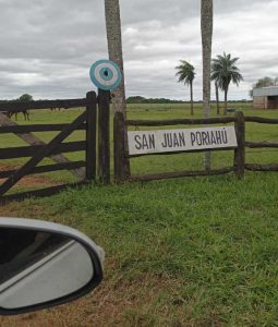 Silencio salvaje: un viaje al corazón del Iberá