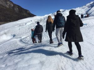 Trekking en los Glaciares: la experiencia de Hielo y Aventura